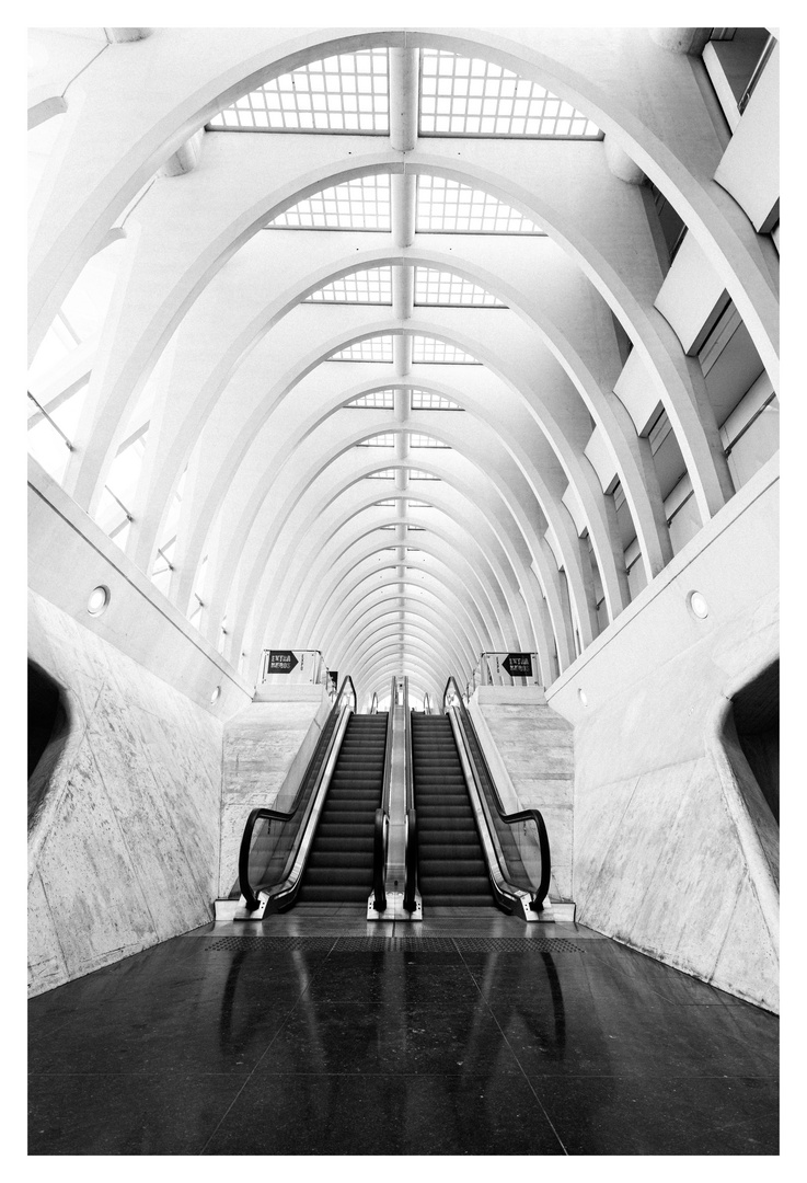 Gare de Liège-Guillemins