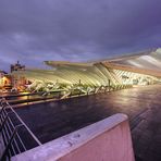 Gare de Liége-Guillemins Aussenansicht