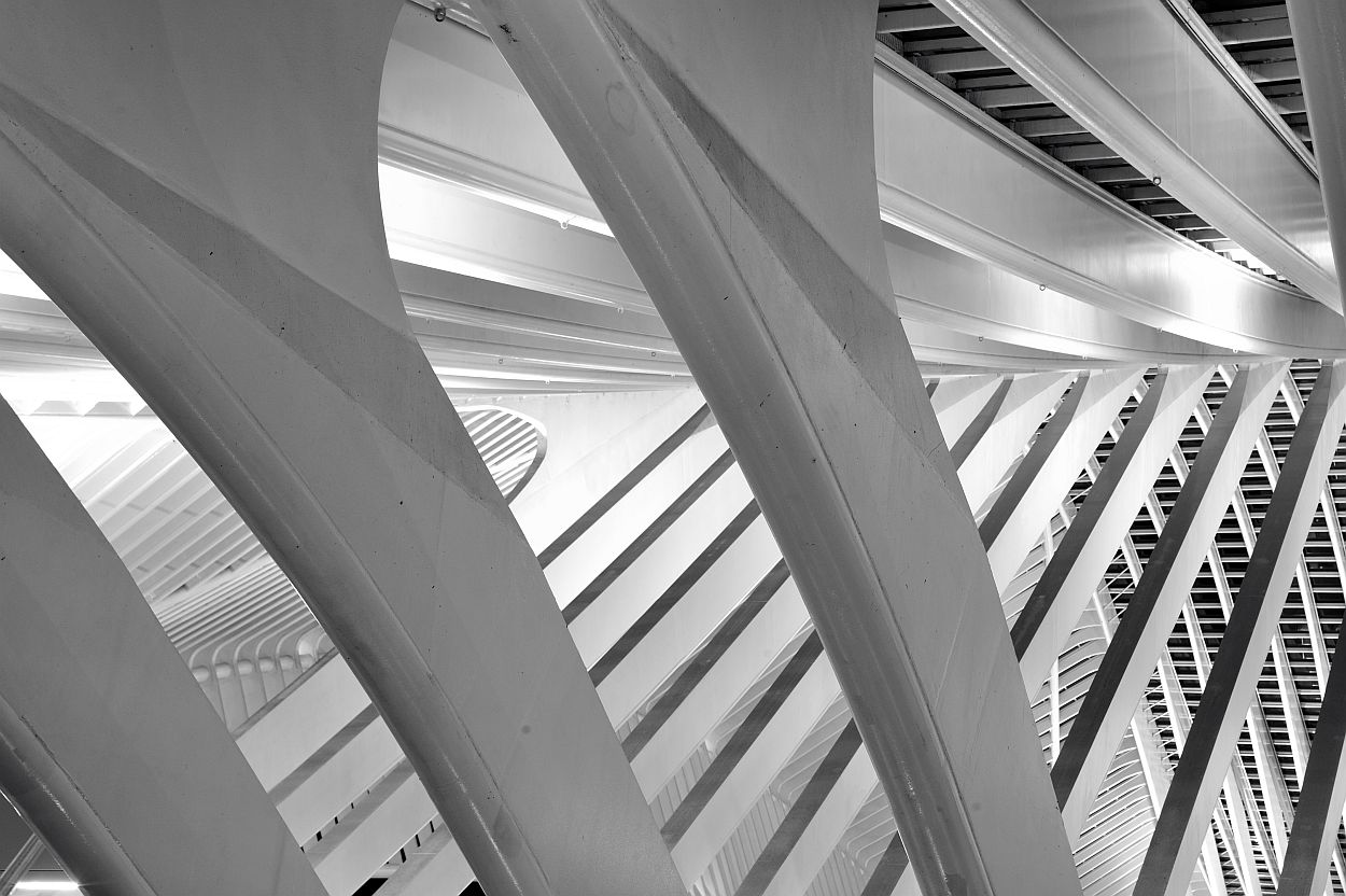 Gare de Liége-Guillemins Dachkonstruktion