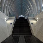 Gare de Liège-Guillemins Stairway