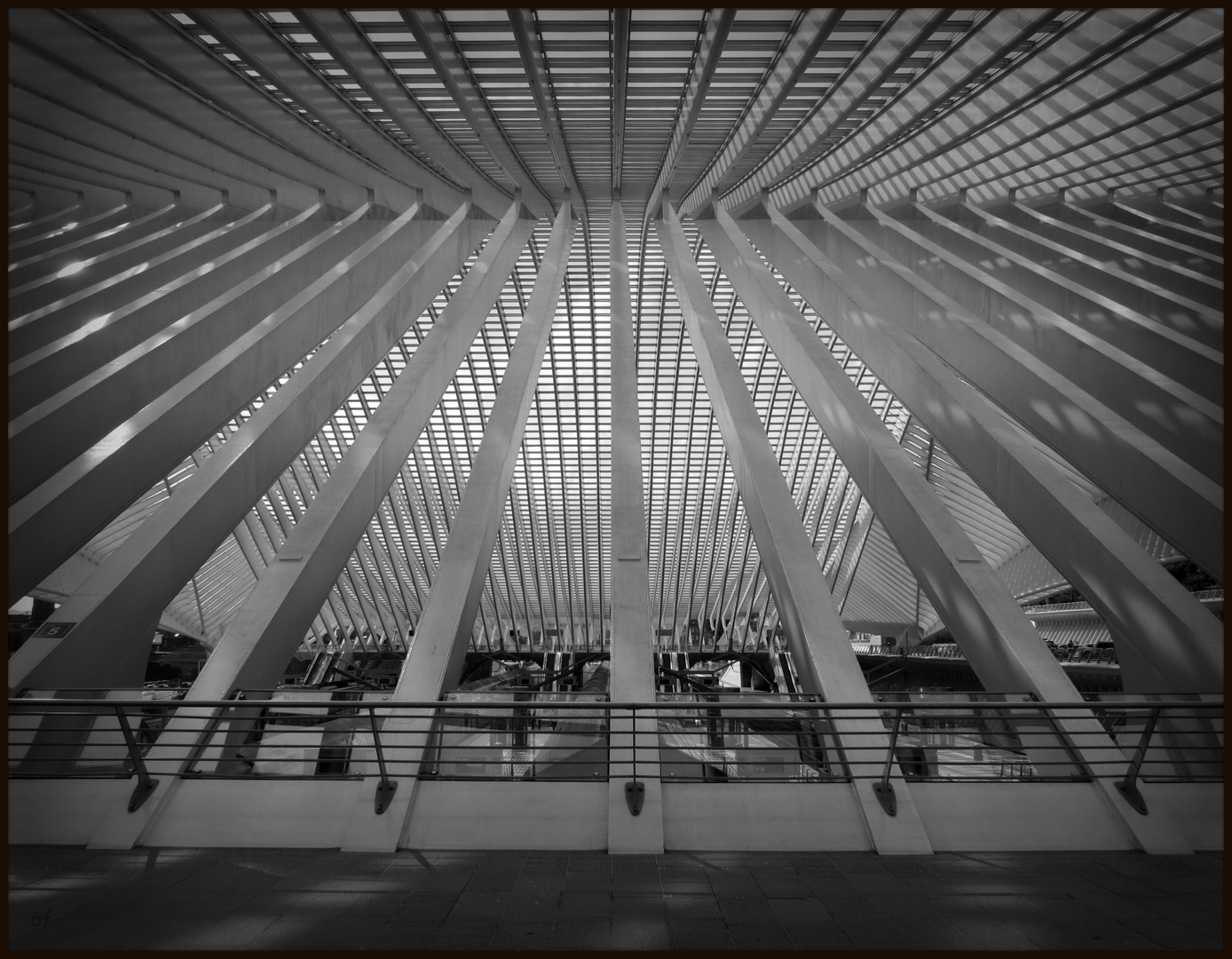 Gare des Guillemins