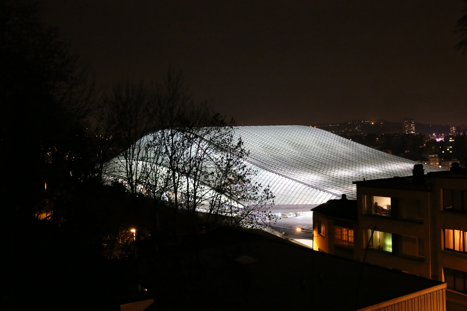 Gare des Guillemins (Calatrava), Liège Belgique.