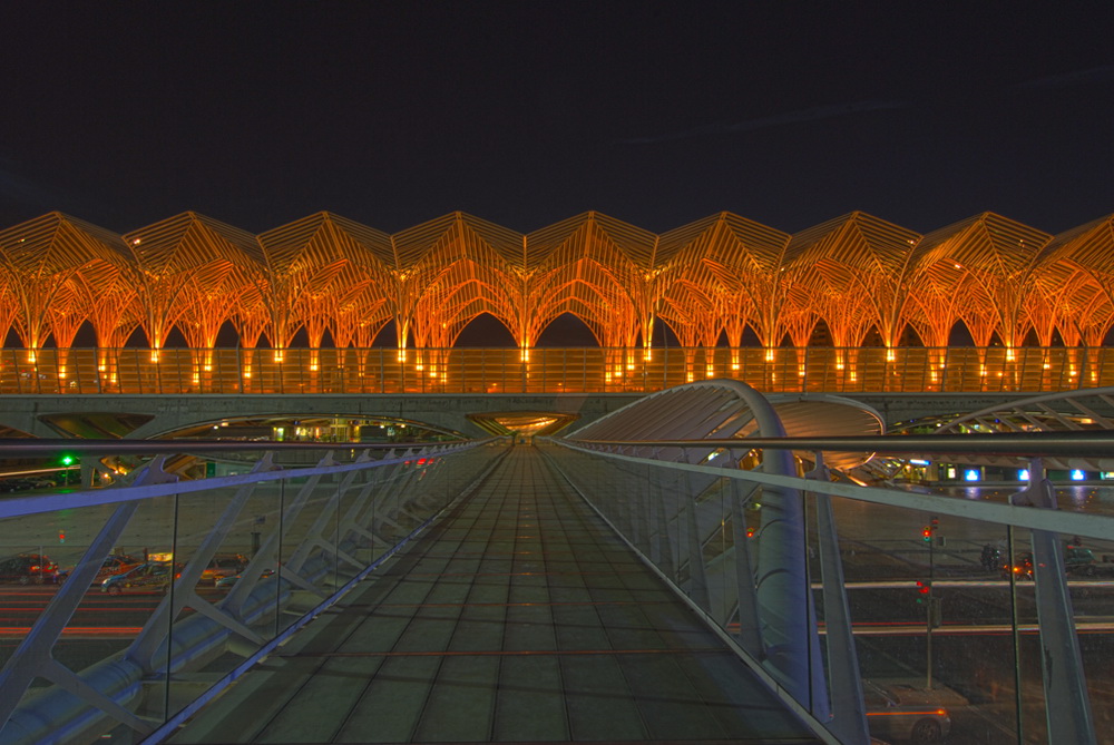 Gare do Oriente/Lisboa /1