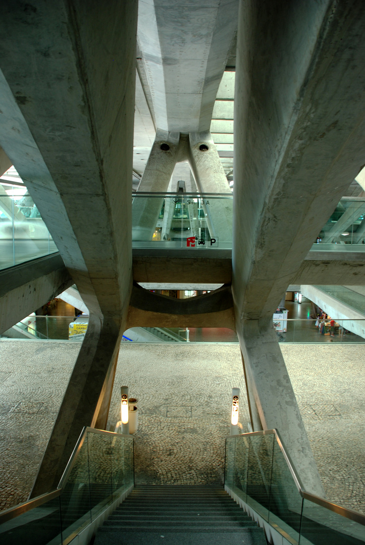 Gare d'Oriente - (Architecte Calatrava)