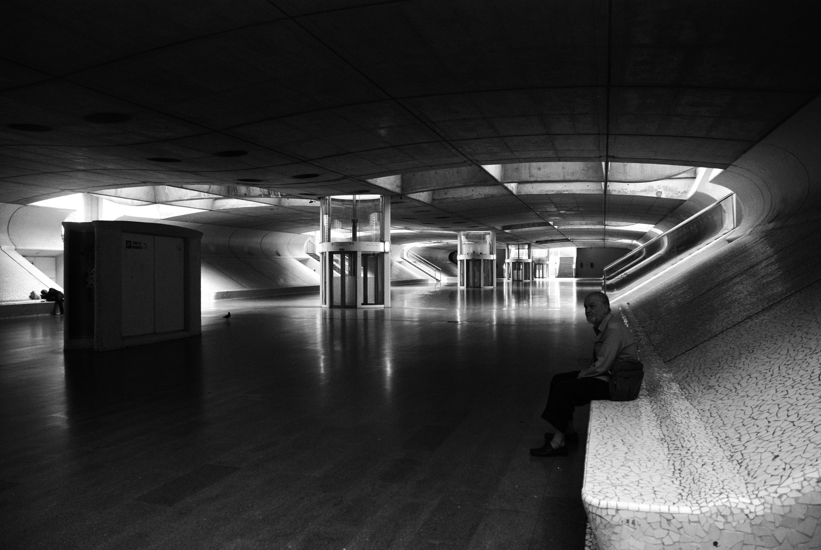 Gare d'Oriente - Lisbonne (Architecte Calatrava)