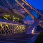 Gare Guillemins zur blauen Stunde