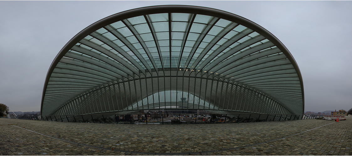 Gare Liège-Guillemins