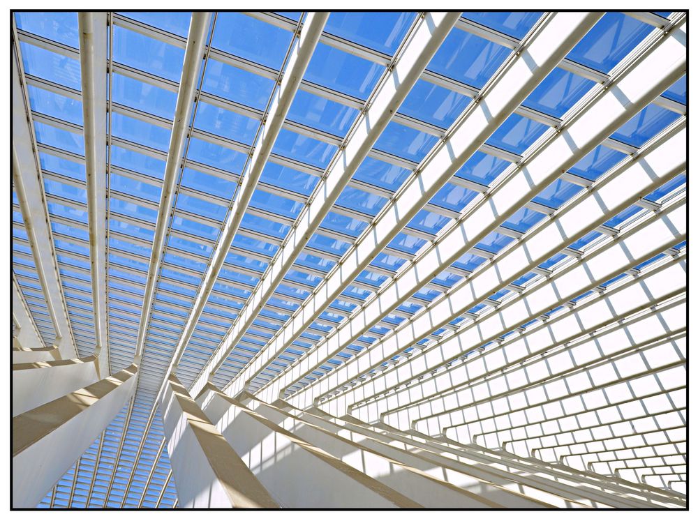 Gare Liège Guillemins (4)