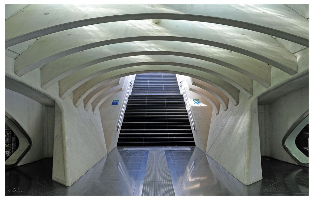 Gare Liège Guillemins (6)