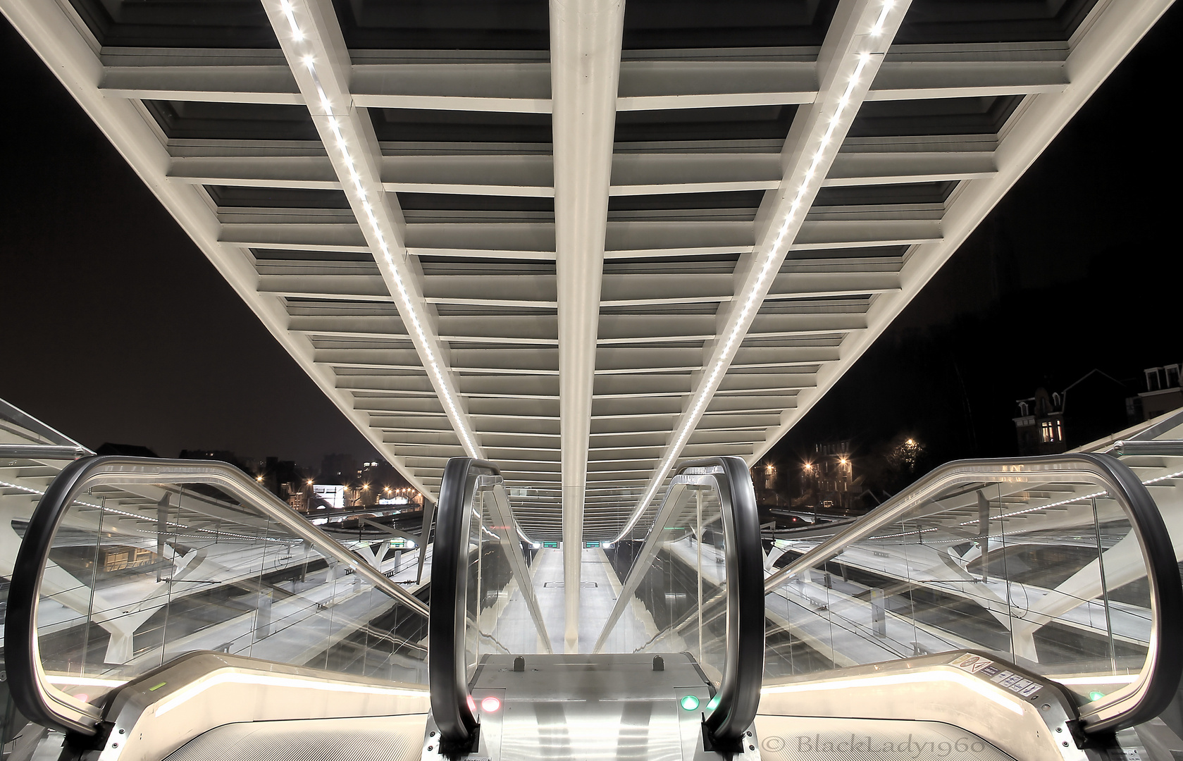 Gare Liège-Guillemins