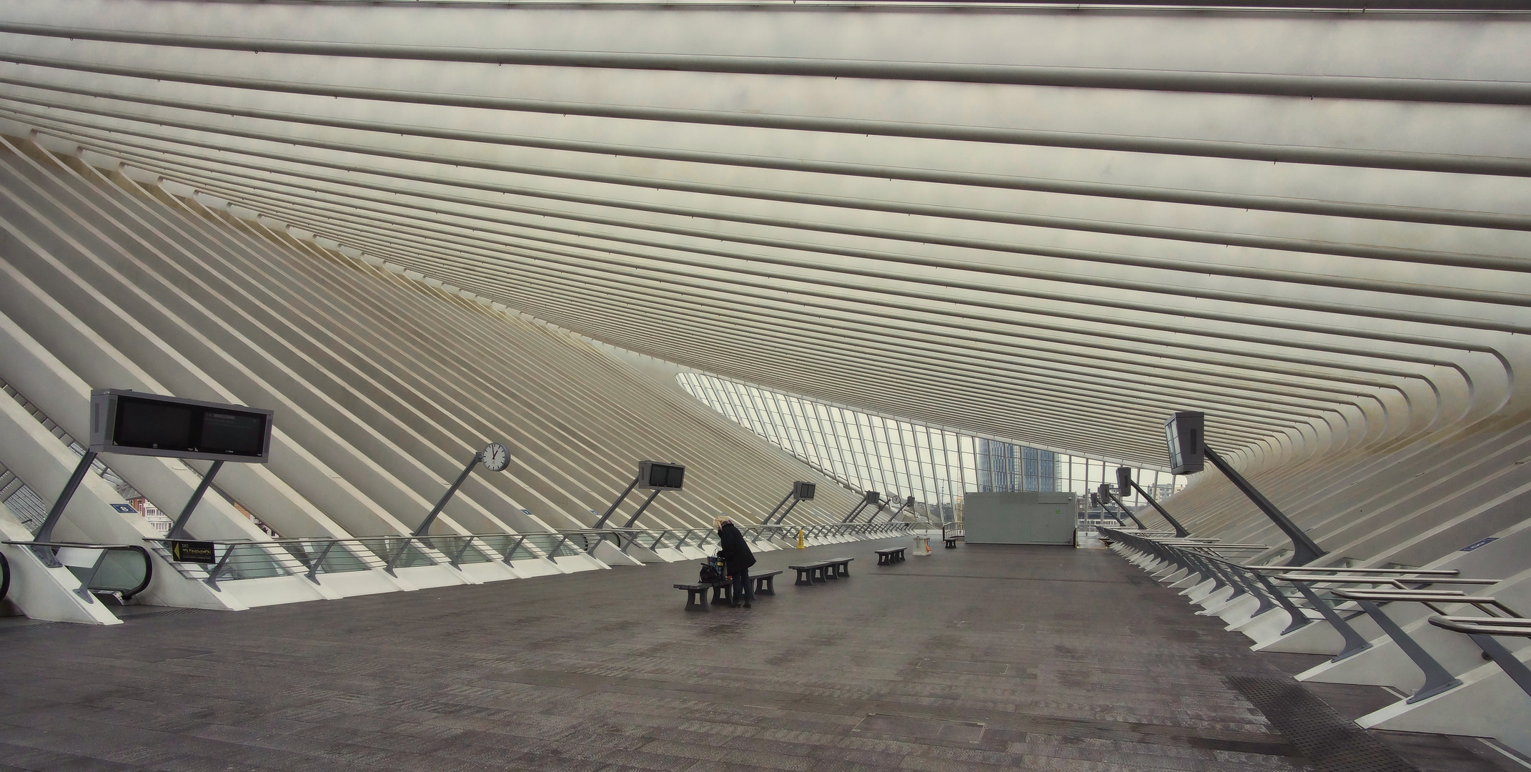 Gare Liège-Guillemins