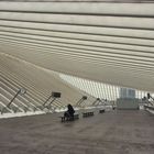 Gare Liège-Guillemins