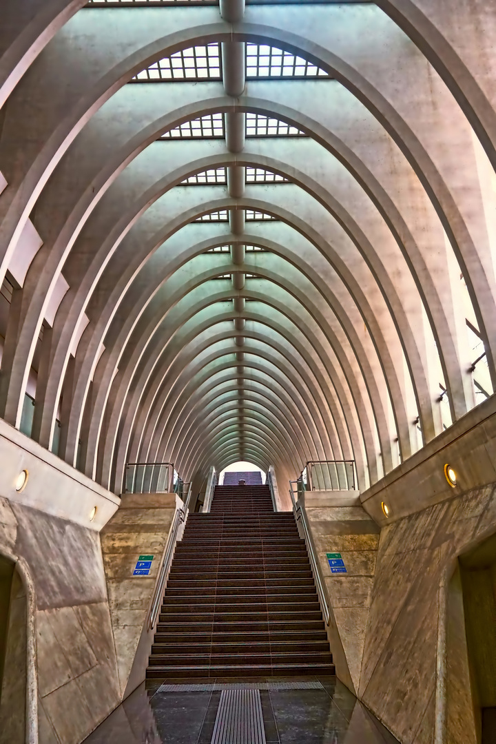 Gare Liège-Guillemins