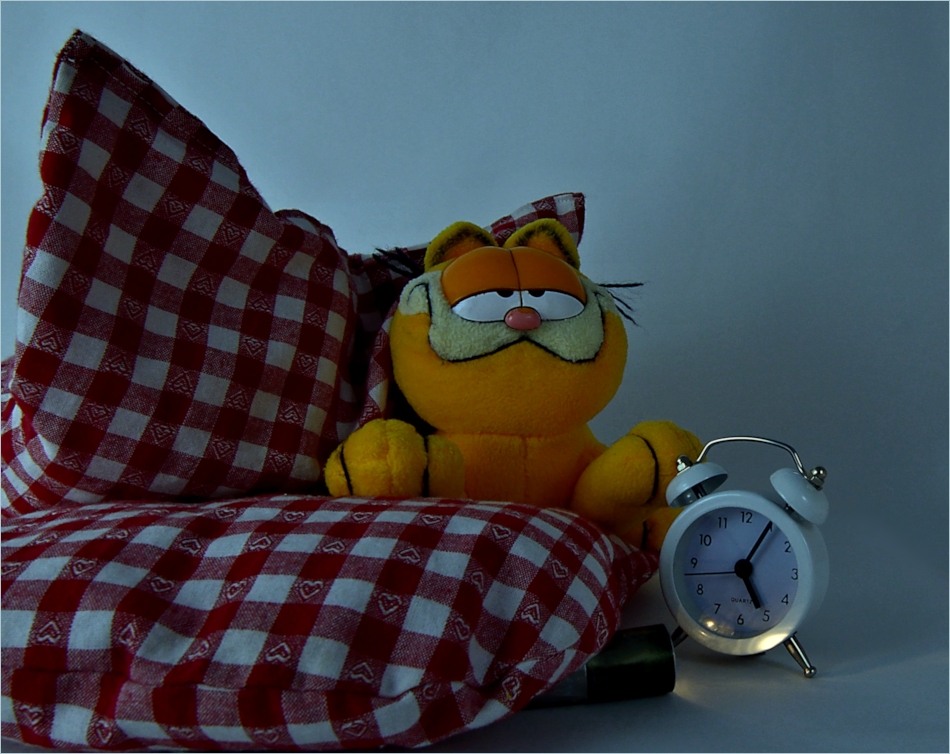 Garfield und der Montagmorgen