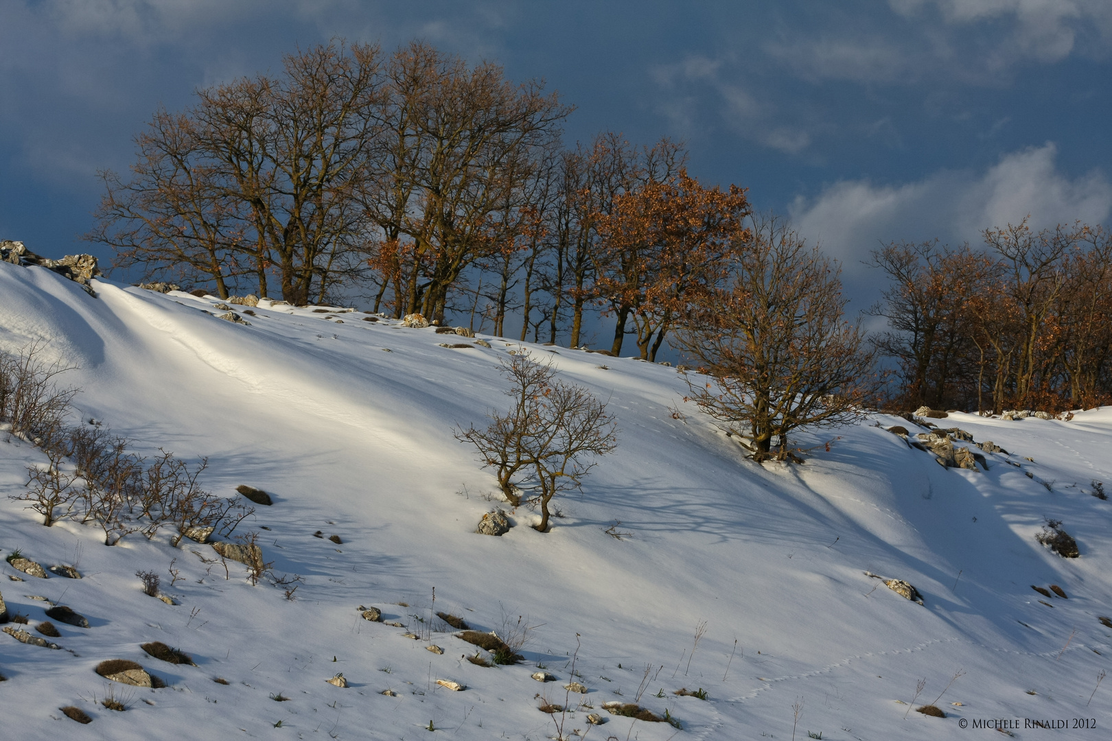 GARGANO INNEVATO