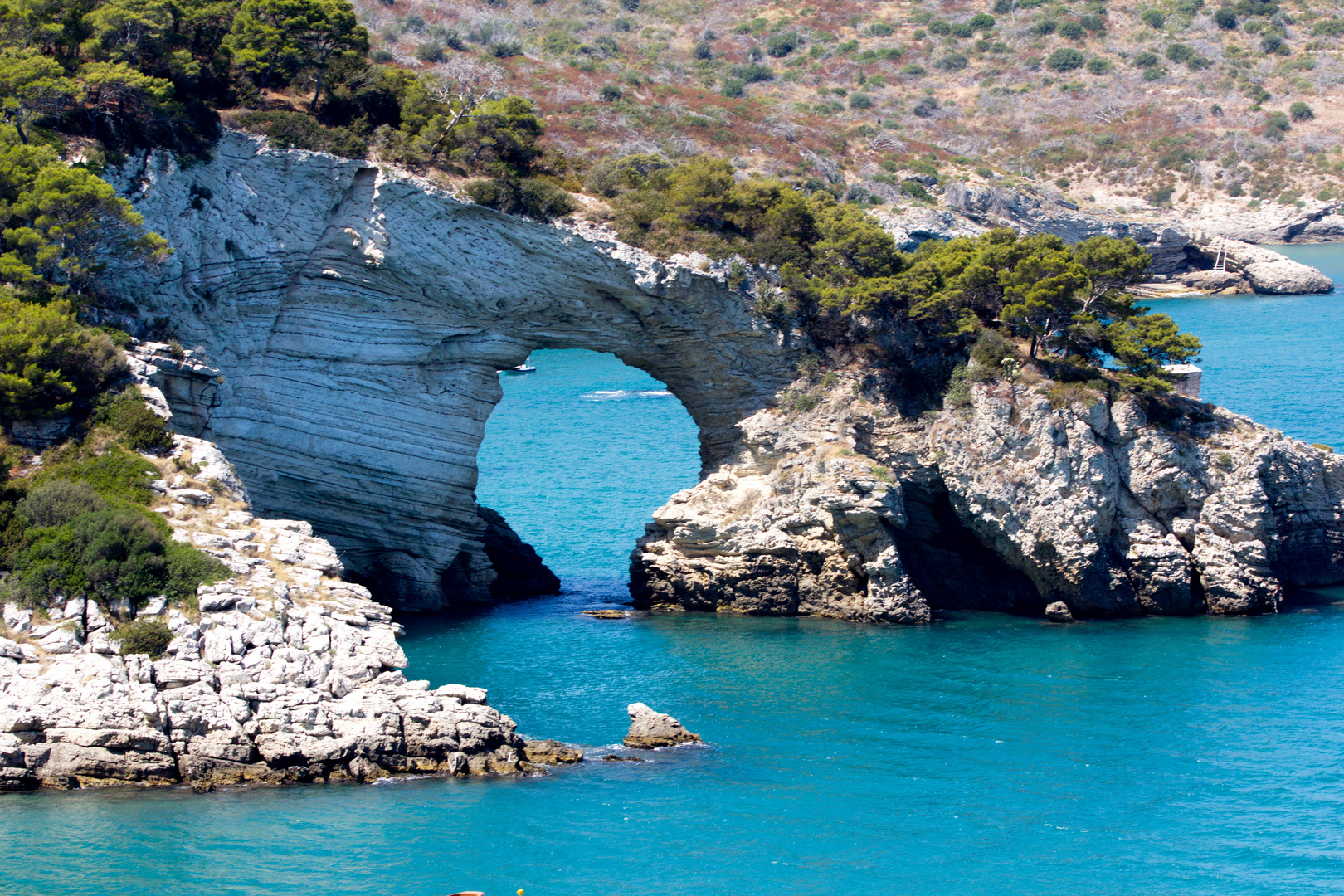 Gargano Vieste-küste