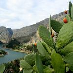 Garganta de Chorro