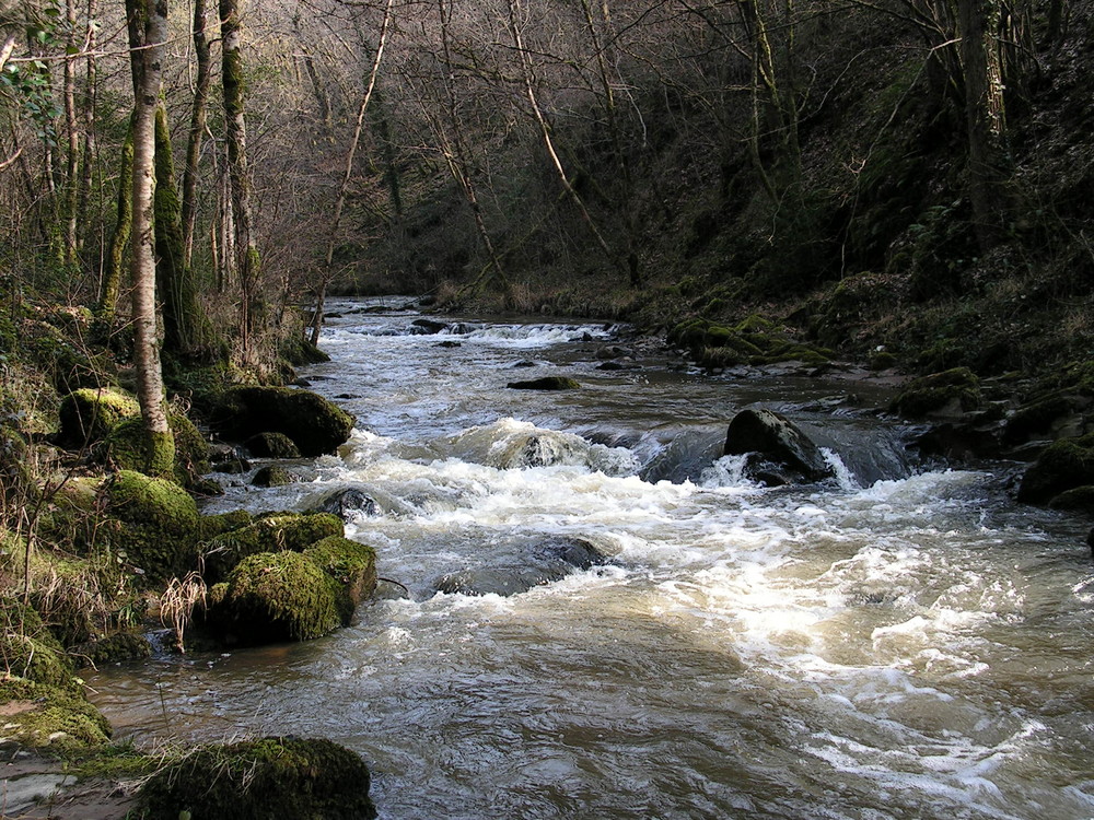 gargilèsse