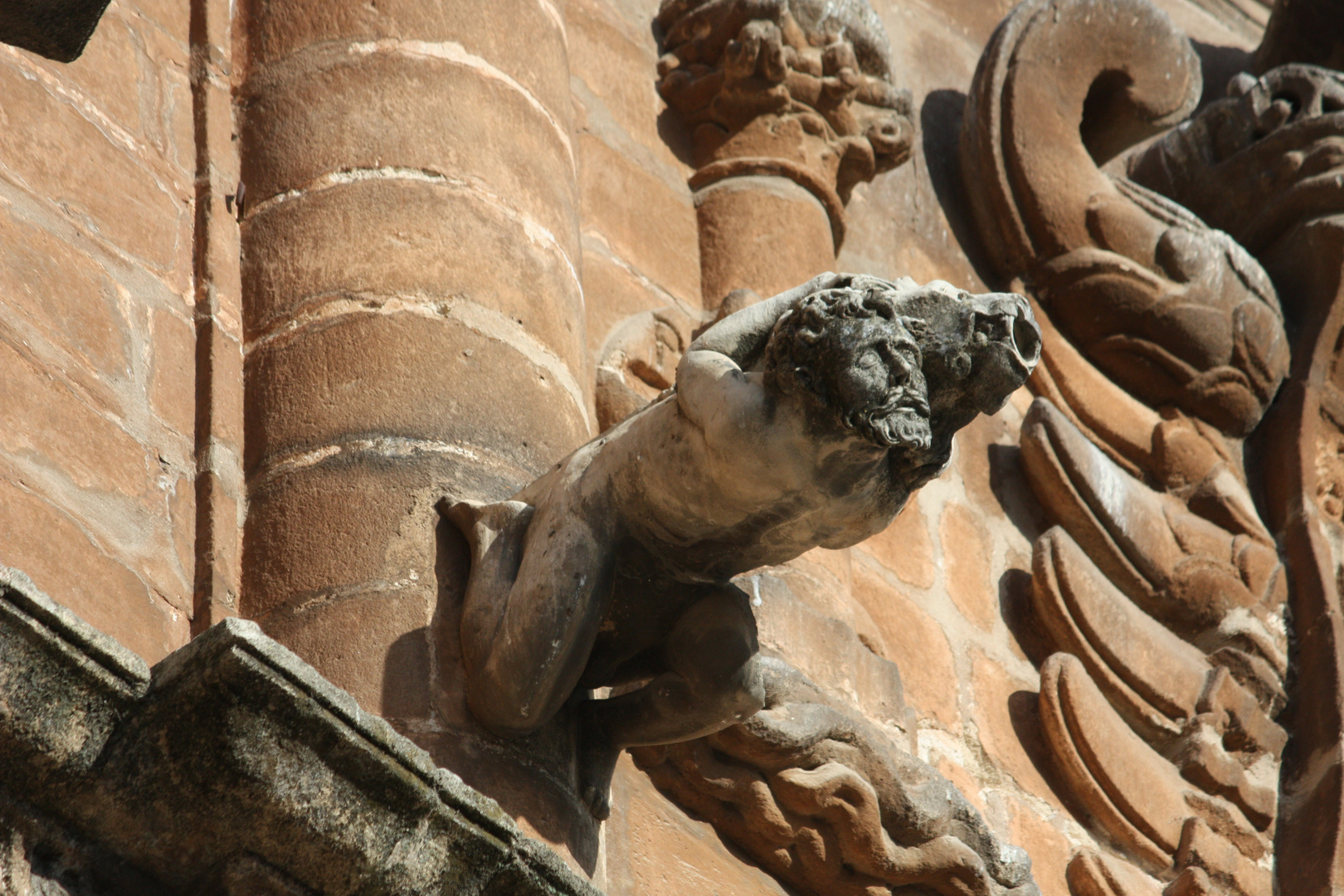 gárgola de la catedral