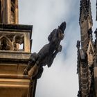 Gargola doccione, Basilica di San Vito, Praga