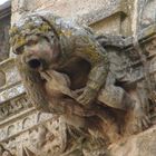 Gárgola en forma de gaitero. Catedral Nueva de Plasencia. Cáceres