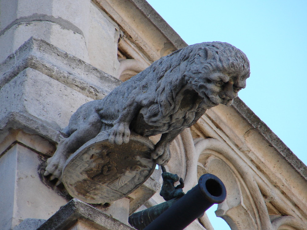 Gárgola en forma de león de la Catedral de Palencia