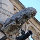 Gárgola en forma de león de la Catedral de Palencia