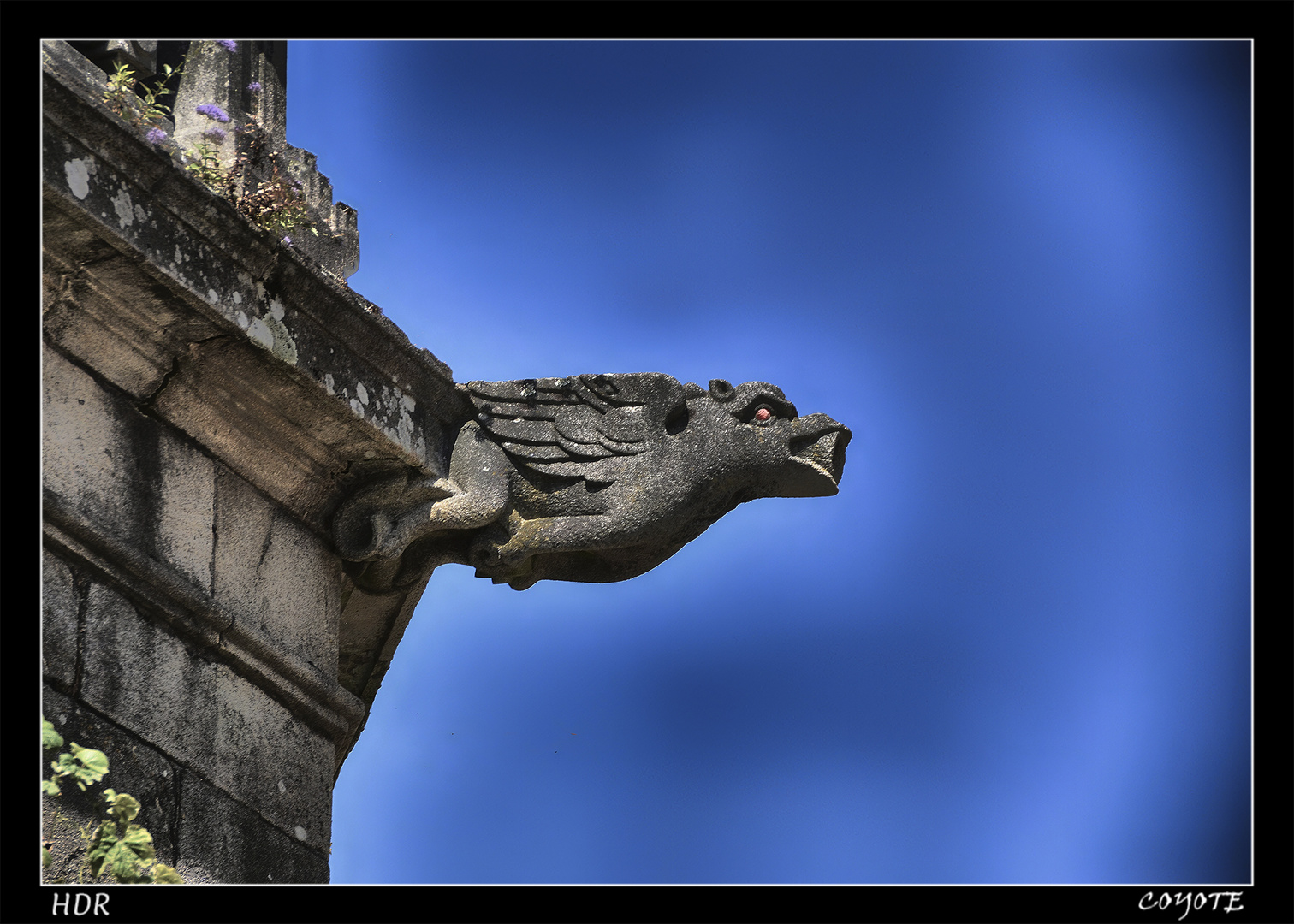 GARGOLA SANTIAGO HDR