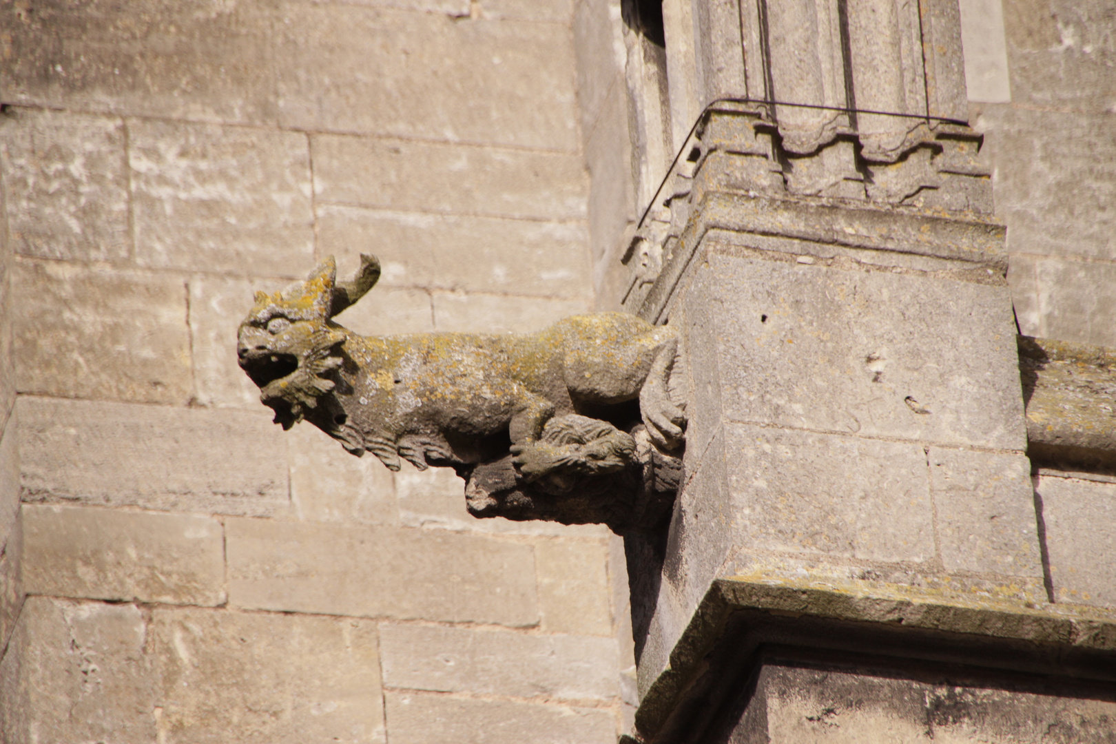 Gargouille du Mans