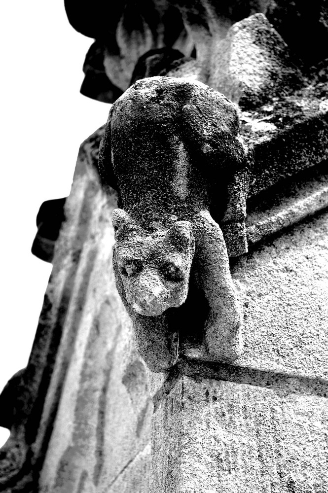 Gargouille palais des papes Avignon (France)