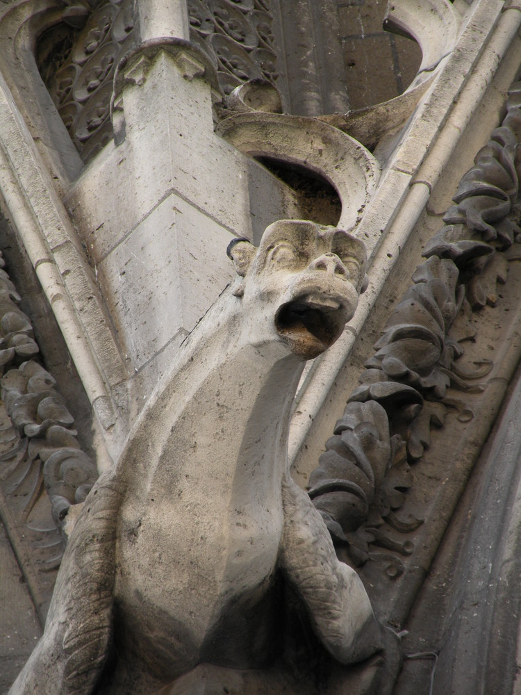 gargouille qui veille sur Notre Dame (ile de la cité Paris)