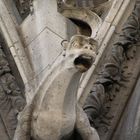 gargouille qui veille sur Notre Dame (ile de la cité Paris)