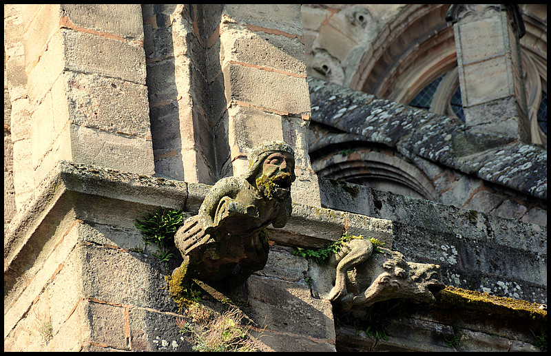 Gargouilles,cathédrale de Rodez,France.