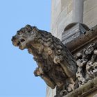 Gargoyle 1