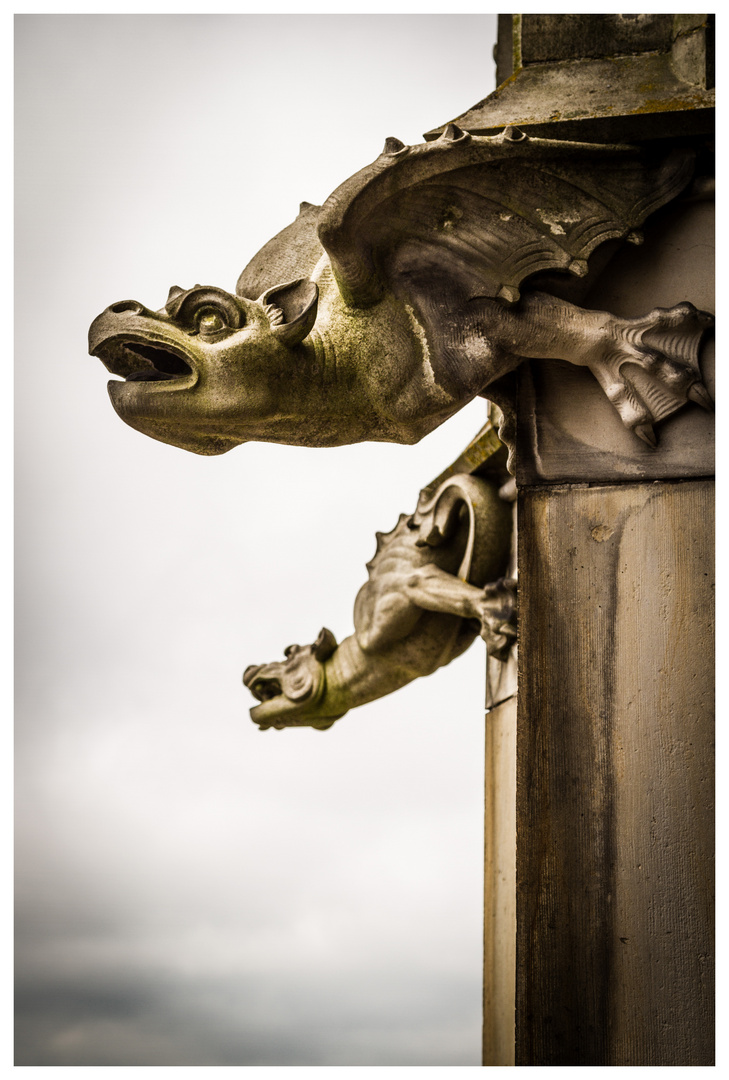 GARGOYLE