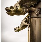 GARGOYLE