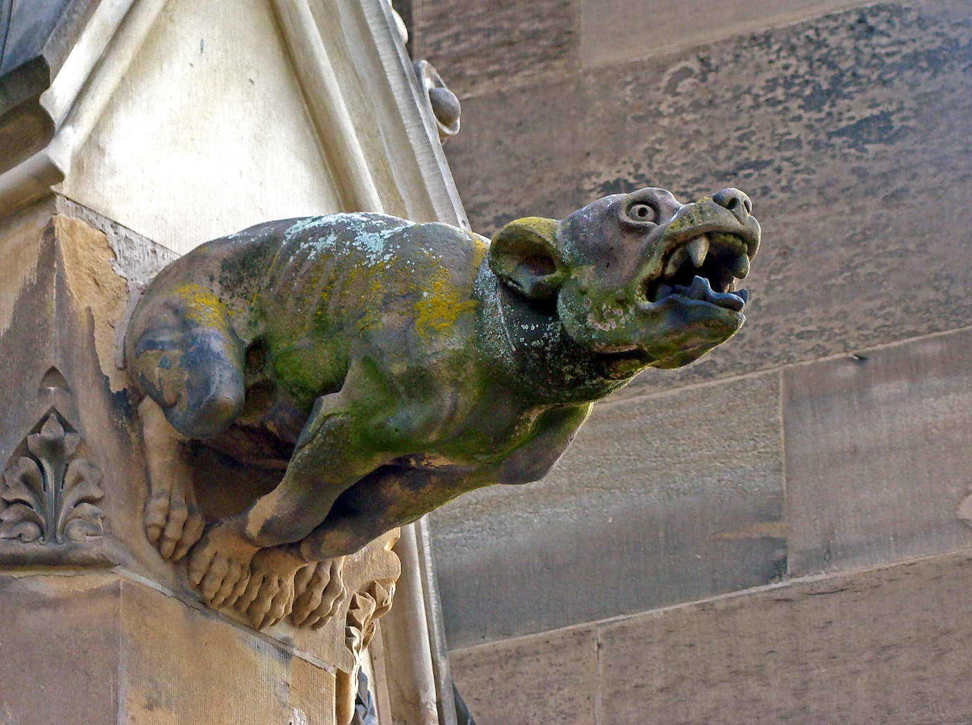 Gargoyle