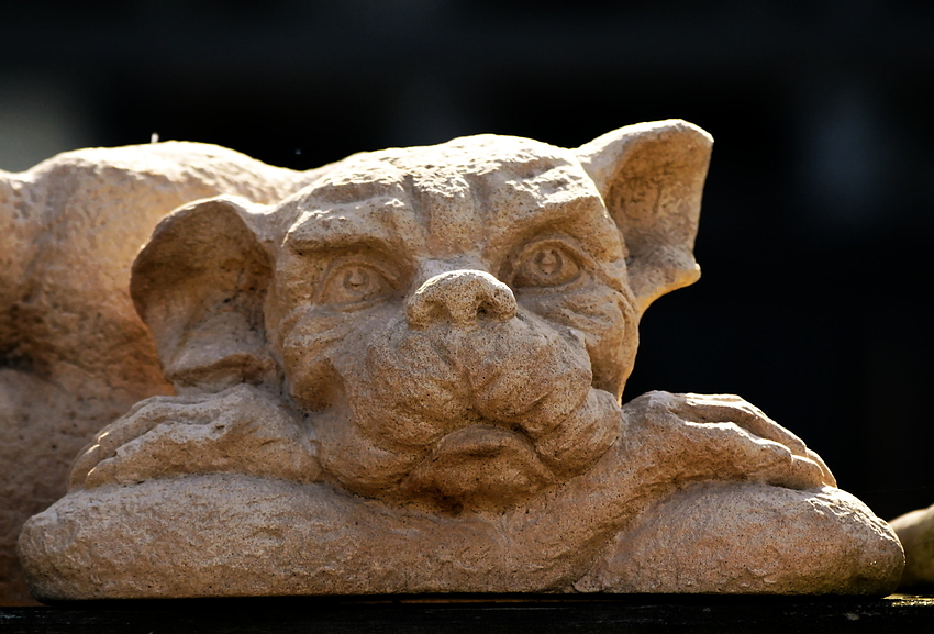 Gargoyle 