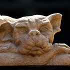 Gargoyle 