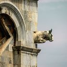 Gargoyle