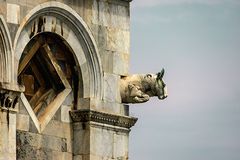 Gargoyle