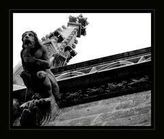 Gargoyle am Steffl