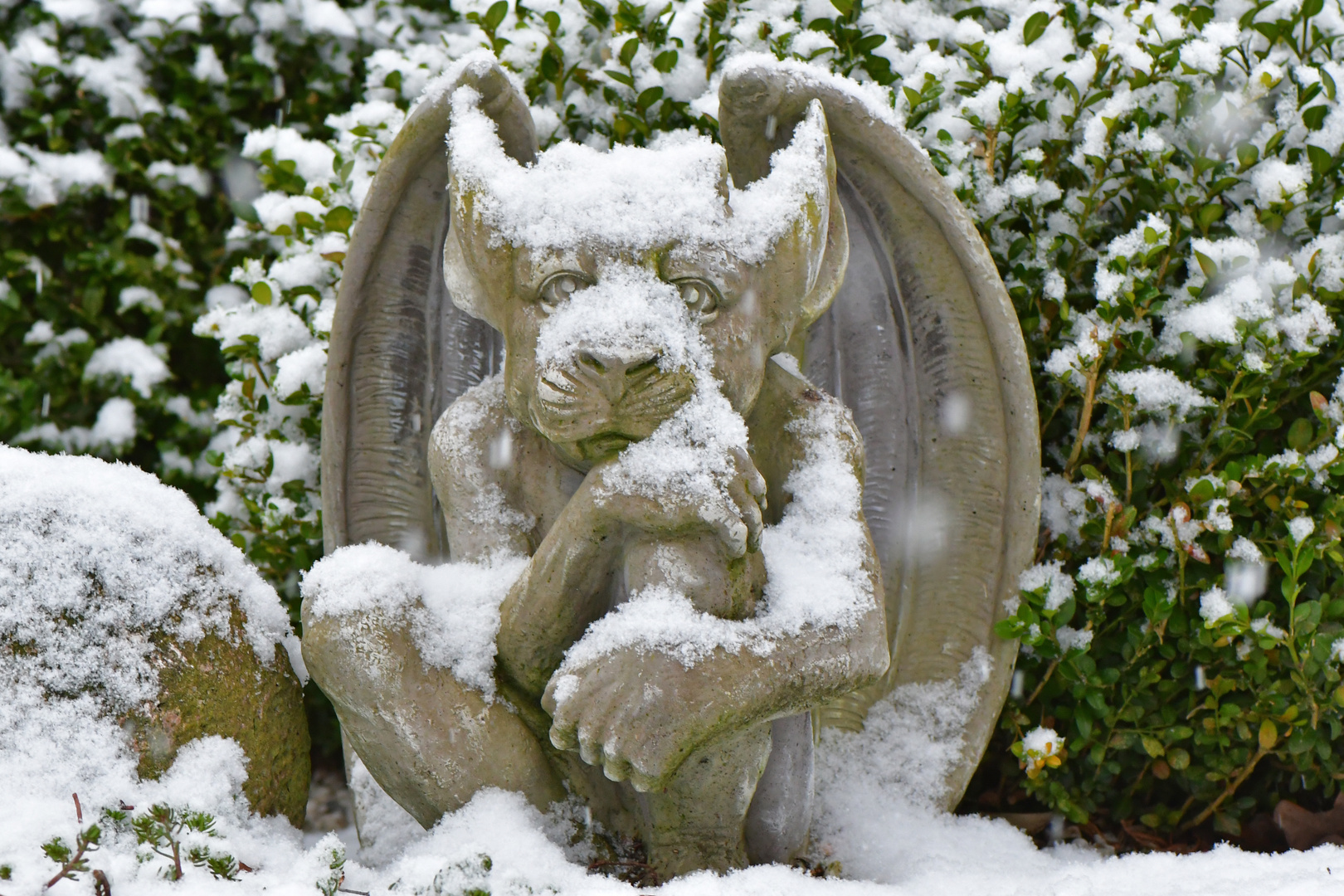 Gargoyle - Hüter des Gartens