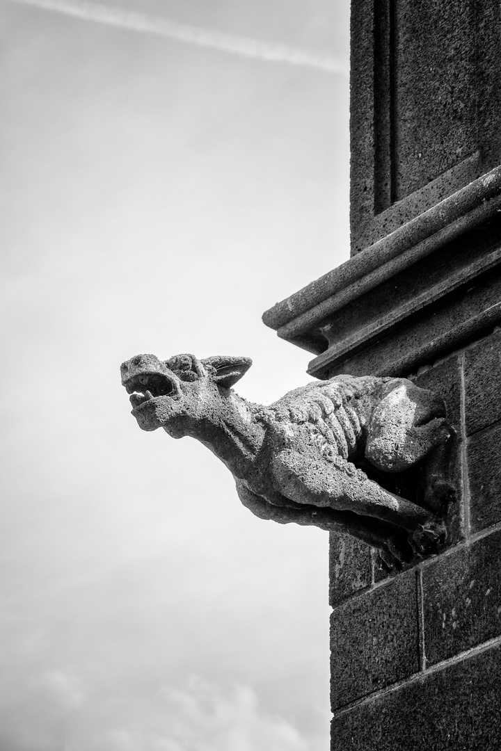 ... gargoyle II ...