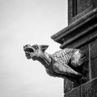 ... gargoyle II ...