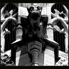 Gargoyle in Oostende II