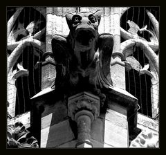 Gargoyle in Oostende II