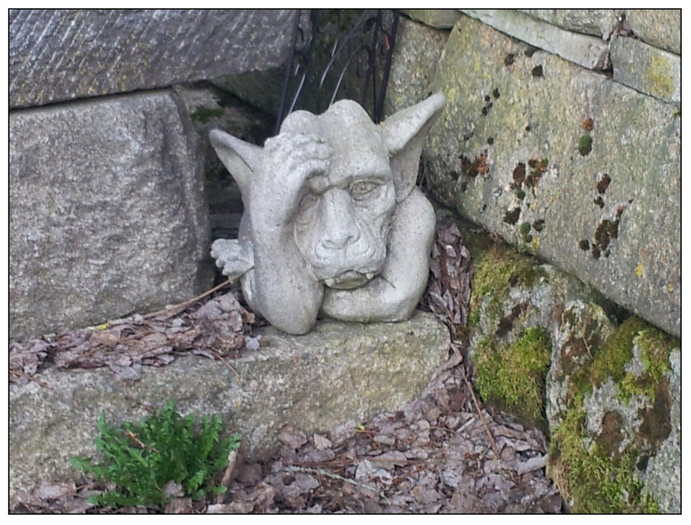 Gargoyle mit Durchblick?