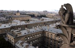 Gargoyle, Notre Dame