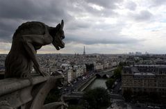 Gargoyle von Notre Dame